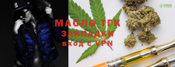гидра Каменногорск
