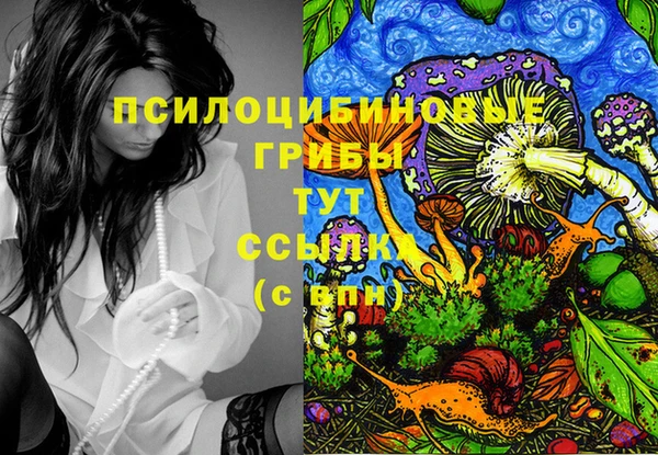 первитин Каменка