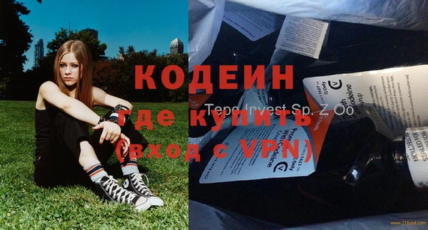 гидра Каменногорск