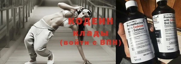 гидра Каменногорск