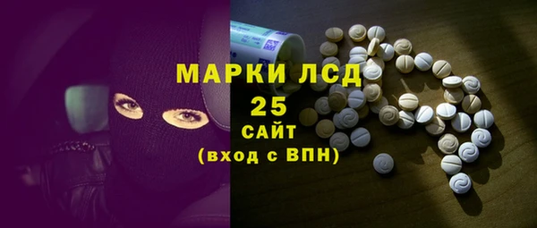 гидра Каменногорск