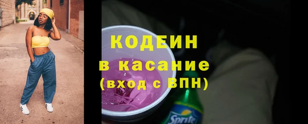 гидра Каменногорск