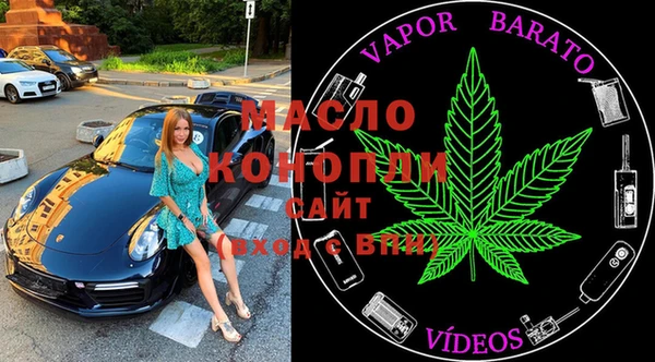 гидра Каменногорск